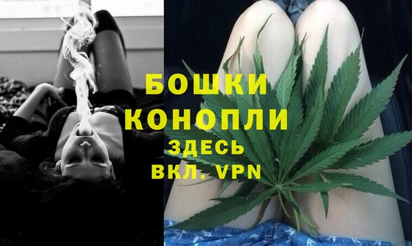 PSILOCYBIN Алексеевка