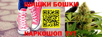 крисы Аргун