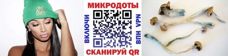где купить наркоту  Брянск  Псилоцибиновые грибы мицелий 