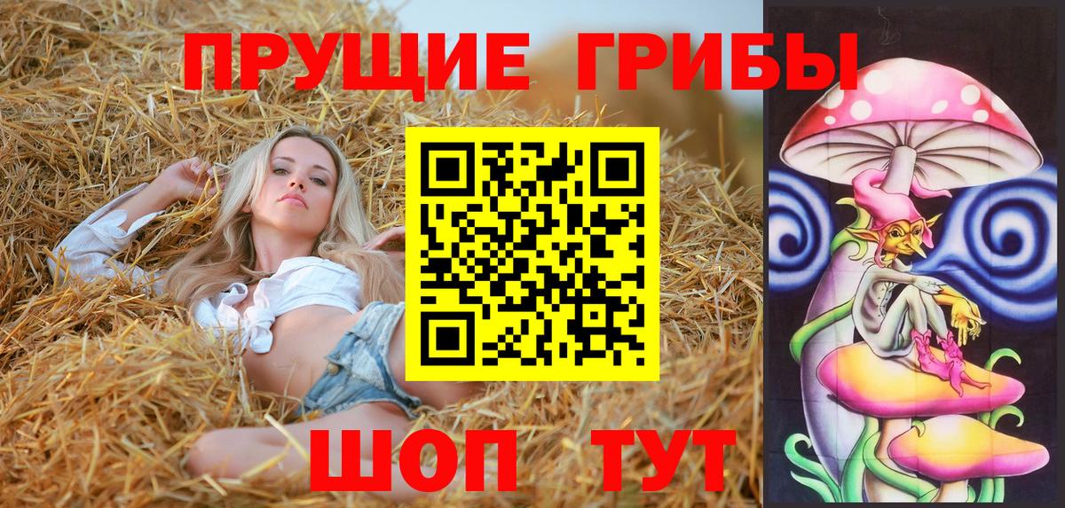 Псилоцибиновые грибы Psilocybe  Вход с VPN  Брянск  Псилоцибиновые грибы Psilocybe 