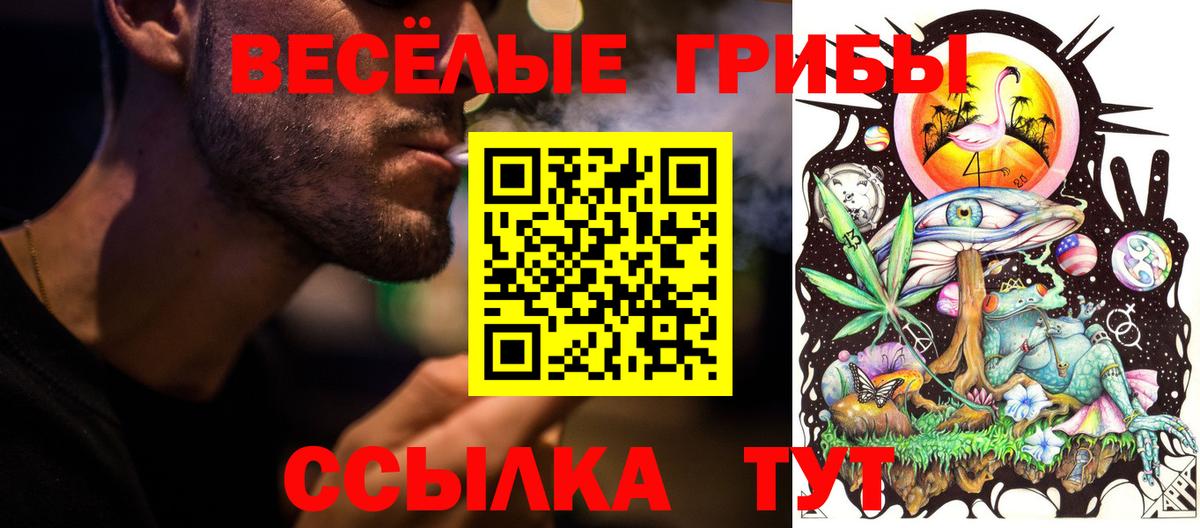 Галлюциногенные грибы MAGIC MUSHROOMS Брянск